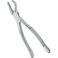 Extracting Forceps Adults 